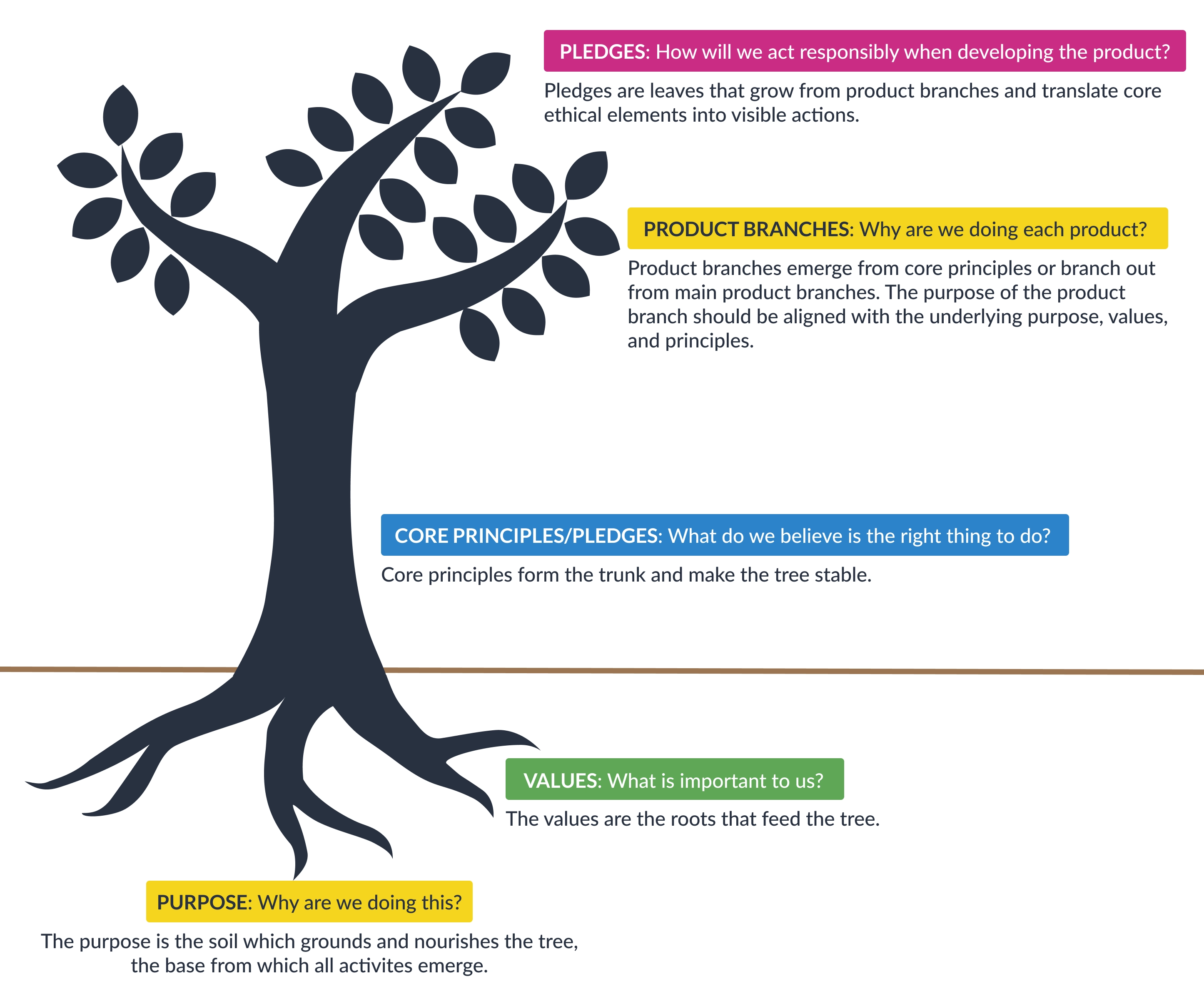A graphic showing a tree with different ethical elements mapped to tree parts. Purpose is the soil in which the tree grows, values are the roots that feed the tree, the core principles form the trunk of the tree, product branches grown from the trunk, and pledges are the leaves that grow on individual product branches.